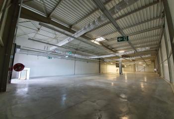 Location local commercial Vert-Saint-Denis (77240) - 1169 m² à Vert-Saint-Denis - 77240