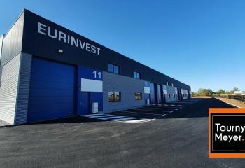 Location activité/entrepôt Albi (81000) - 1285 m² à Albi - 81000