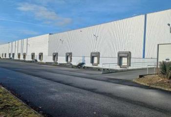 Location activité/entrepôt Allonne (60000) - 31023 m² à Allonne - 60000