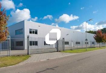 Location activité/entrepôt Amiens (80000) - 10066 m² à Amiens - 80000