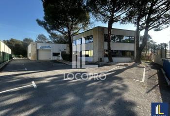 Location activité/entrepôt Antibes (06600) - 817 m² à Antibes - 06600