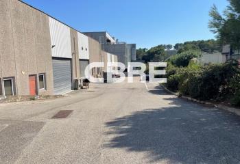 Location activité/entrepôt Antibes (06600) - 481 m²