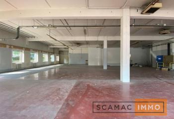 Location activité/entrepôt Antony (92160) - 1055 m²