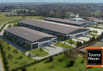 Location activité/entrepôt Aussonne (31840) - 16968 m² à Aussonne - 31840