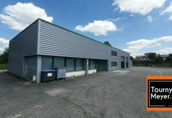 Location activité/entrepôt Auzeville-Tolosane (31320) - 501 m² à Auzeville-Tolosane - 31320
