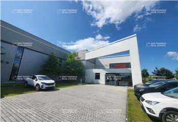 Location activité/entrepôt Bailly-Romainvilliers (77700) - 3300 m²