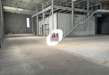 Location activité/entrepôt Bischheim (67800) - 1500 m² à Bischheim - 67800