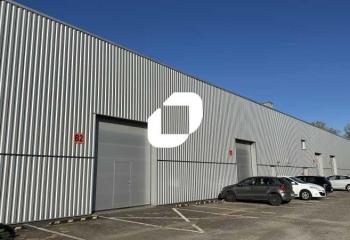 Location activité/entrepôt Bischheim (67800) - 514 m² à Bischheim - 67800