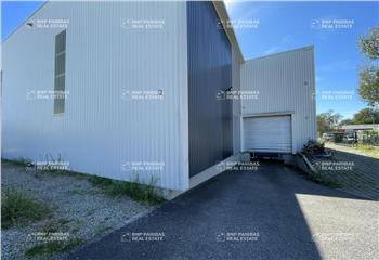 Location activité/entrepôt Bischheim (67800) - 1500 m²