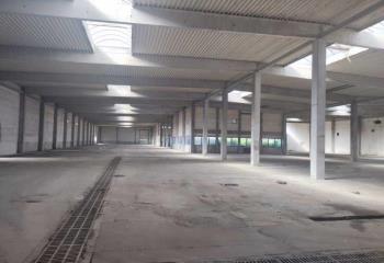 Location activité/entrepôt Blyes (01150) - 7035 m²