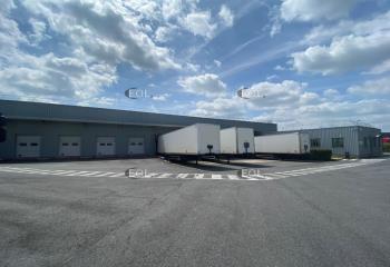 Location activité/entrepôt Brie-Comte-Robert (77170) - 3541 m² à Brie-Comte-Robert - 77170