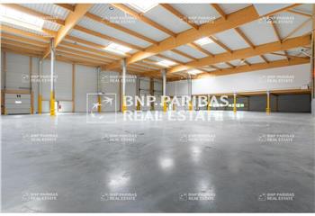 Location activité/entrepôt Brie-Comte-Robert (77170) - 3287 m²