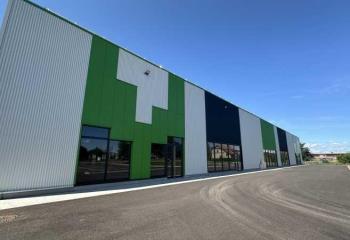 Location activité/entrepôt Brumath (67170) - 400 m²