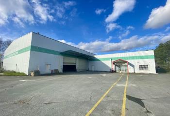 Location activité/entrepôt Cadaujac (33140) - 1261 m² à Cadaujac - 33140