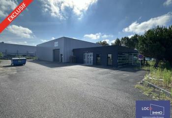 Location activité/entrepôt Canéjan (33610) - 600 m²