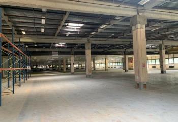 Location activité/entrepôt Canéjan (33610) - 3500 m² à Canéjan - 33610