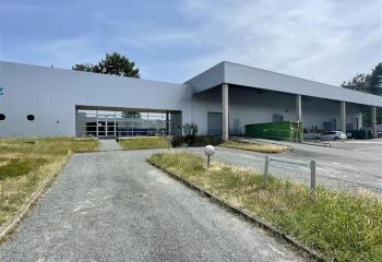 Location activité/entrepôt Cestas (33610) - 1300 m² à Cestas - 33610