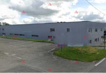 Location activité/entrepôt Chalezeule (25220) - 560 m² à Chalezeule - 25220