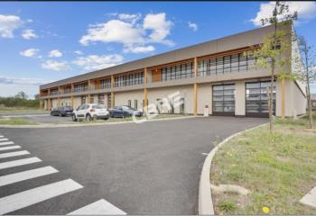 Location activité/entrepôt Collégien (77090) - 4453 m² à Collégien - 77090