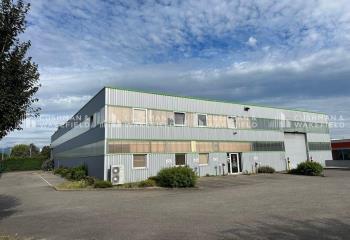 Location activité/entrepôt Colmar (68000) - 1335 m²