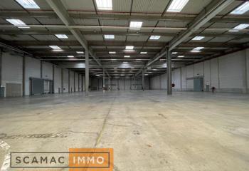 Location activité/entrepôt Combs-la-Ville (77380) - 41918 m² à Combs-la-Ville - 77380