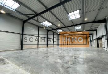 Location activité/entrepôt Croissy-Beaubourg (77183) - 3600 m² à Croissy-Beaubourg - 77183