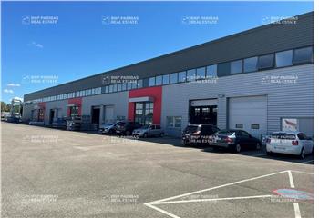 Location activité/entrepôt Dagneux (01120) - 2244 m²