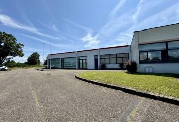 Location activité/entrepôt Eckbolsheim (67201) - 250 m²