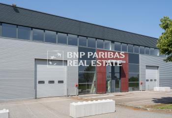 Location activité/entrepôt Élancourt (78990) - 534 m²