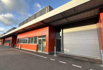 Location activité/entrepôt Eschau (67114) - 736 m² à Eschau - 67114