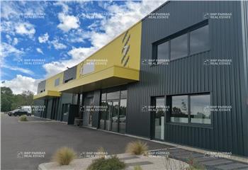 Location activité/entrepôt Frans (01480) - 247 m²