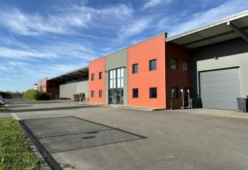 Location activité/entrepôt Gaillac (81600) - 2438 m² à Gaillac - 81600