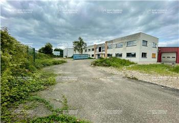 Location activité/entrepôt Geispolsheim (67118) - 7122 m²