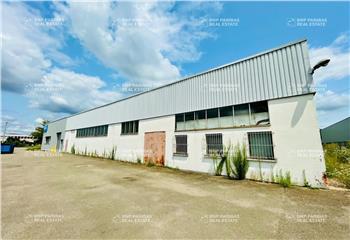 Location activité/entrepôt Geispolsheim (67118) - 3550 m² à Geispolsheim - 67118