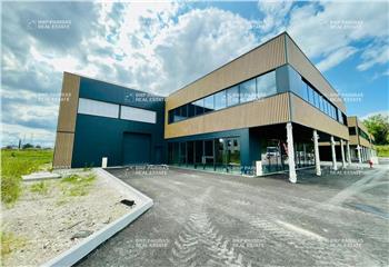 Location activité/entrepôt Geispolsheim (67118) - 2996 m² à Geispolsheim - 67118