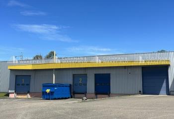 Location activité/entrepôt Geispolsheim (67118) - 2100 m²