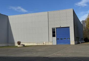 Location activité/entrepôt Geispolsheim (67118) - 968 m²