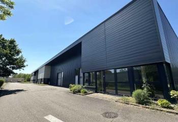 Location activité/entrepôt Geispolsheim (67118) - 637 m² à Geispolsheim - 67118