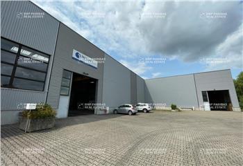 Location activité/entrepôt Geispolsheim (67118) - 960 m² à Geispolsheim - 67118