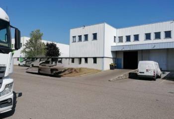 Location activité/entrepôt Genas (69740) - 967 m² à Genas - 69740