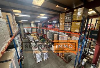 Location activité/entrepôt Gonesse (95500) - 503 m²