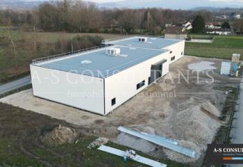 Location activité/entrepôt Granieu (38490) - 601 m² à Granieu - 38490