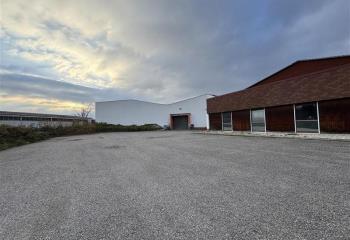 Location activité/entrepôt Hoerdt (67720) - 2000 m² à Hoerdt - 67720