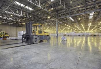 Location activité/entrepôt Hoerdt (67720) - 10000 m² à Hoerdt - 67720