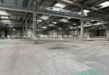Location activité/entrepôt Illkirch-Graffenstaden (67400) - 36412 m² à Illkirch-Graffenstaden - 67400