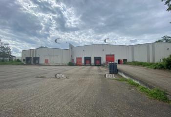 Location activité/entrepôt Illkirch-Graffenstaden (67400) - 7122 m²