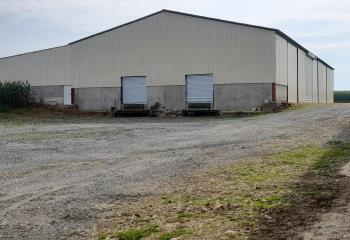 Location activité/entrepôt La Ferté-Bernard (72400) - 1620 m² à La Ferté-Bernard - 72400