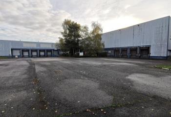 Location activité/entrepôt Lesquin (59810) - 7750 m² à Lesquin - 59810