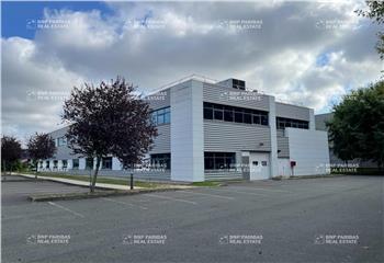 Location activité/entrepôt Massy (91300) - 2083 m² à Massy - 91300