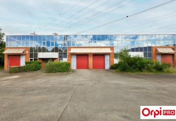 Location activité/entrepôt Massy (91300) - 820 m²